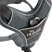 Harnais Divo anti-traction pour chien gris Hunter
