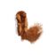 KONG Peluche Refillables Squirrel