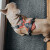 Harnais Divo pour chien qui tire ROUGE