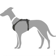 Harnais Aalborg noir pour Berger Allemand Malinois Hunter