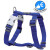 Harnais chien en H :  Os BLEU