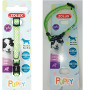 Pixie pour chiot vert