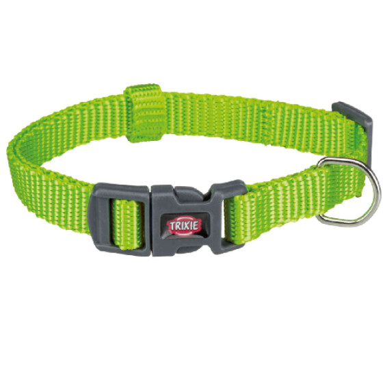 Collier Premium pour Chien Pomme