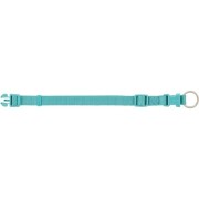 Collier Premium pour Chien Aqua