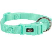Collier Premium pour Chien Menthe