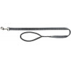 Laisse Premium pour chien Gris