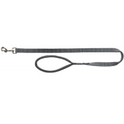 Laisse Premium pour chien Gris