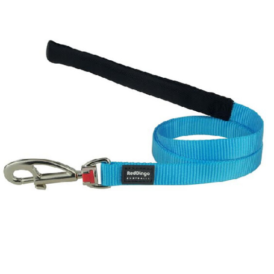 Laisse pour chien turquoise 120 cm