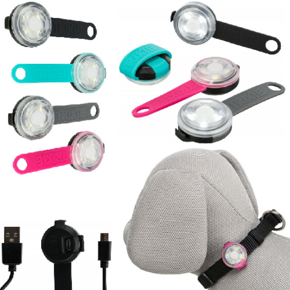 Flasher USB LED d’identification pour chien Ø3 cm
