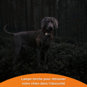Traceur GPS Weenect XS pour chien