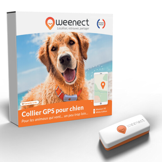 Traceur GPS XS pour chien