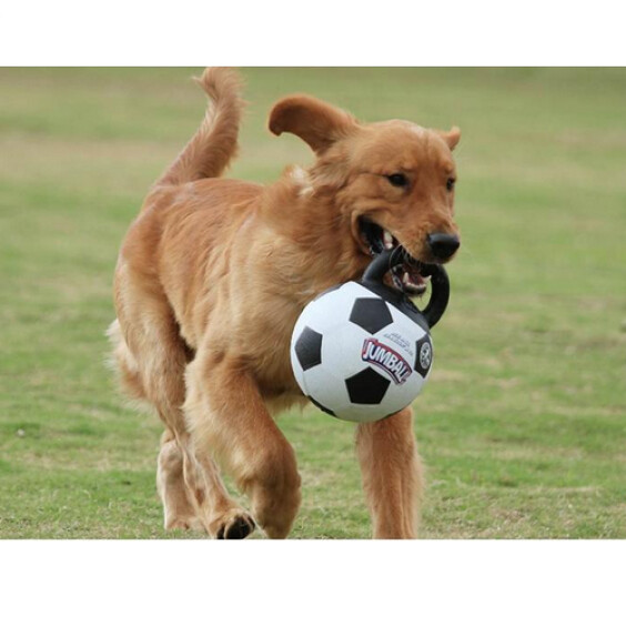 Jouet Jumball Football avec poignée 20 cm Bubimex