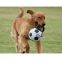 Jouet Jumball Football avec poignée 20 cm Bubimex