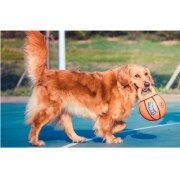 Jouet Jumball Basket Avec Poignée