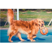 Jouet Jumball Basket avec poignée 20 cm Bubimex