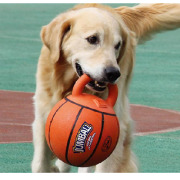 Jouet Jumball Basket avec poignée 20 cm Bubimex