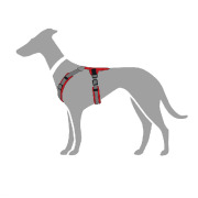 Harnais Maldon pour chien rouge Hunter