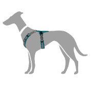 Harnais Maldon pour chien bleu pétrole Hunter