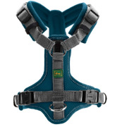 Harnais Maldon pour chien bleu pétrole Hunter