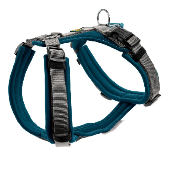 Harnais Maldon pour chien bleu pétrole Hunter