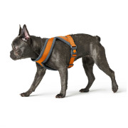 Harnais pour chien London Comfort orange Hunter