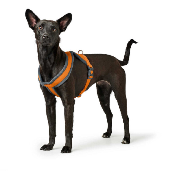 Harnais pour chien London Comfort orange Hunter
