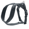 Harnais London Comfort pour chien anthracite Hunter