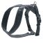 Tour de ventre : 52-62 cm - Largeur de sangle : 25 mm