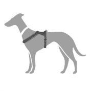 Harnais London Comfort pour chien anthracite Hunter