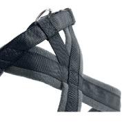 Harnais London Comfort pour chien anthracite Hunter