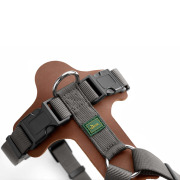 Harnais Aalborg Mixed pour Chien cognac Hunter