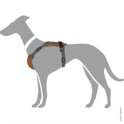 Harnais Aalborg Mixed pour Chien cognac Hunter