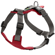 Harnais Aalborg Mixed pour chien rouge Hunter