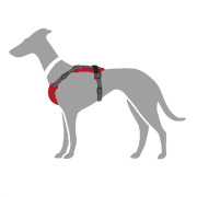 Harnais Aalborg Mixed pour chien rouge Hunter