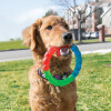 KONG Jouet Twistz Ring