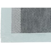 Tapis Educateur Nappy au charbon Actif pour Chien