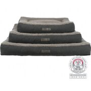 Coussin Orthopédique, déhoussable Vital Bendson Gris