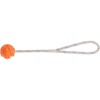 Aqua Toy Balle sur corde pour chien