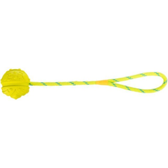 Aqua Toy Balle sur corde pour Chien