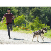 Harnais X-BACK pour canicross