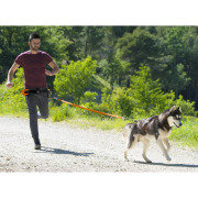 Harnais X-BACK pour canicross