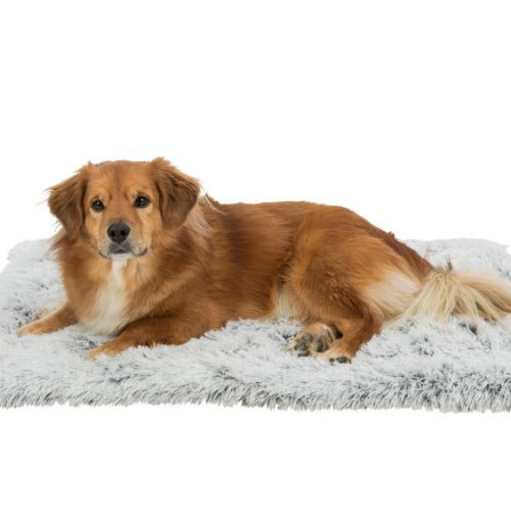 Coussin apaisant pour chat et chien