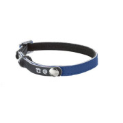 Collier personnalisé bleu réfléchissant porte-adresse pour chat 30 cm