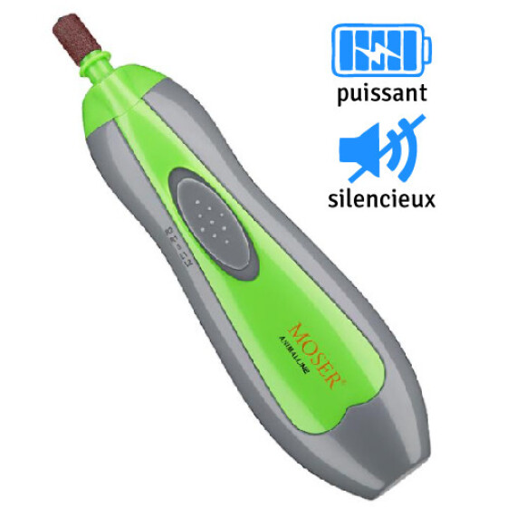 Lime à ongle électrique