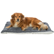 Matelas pour Chien