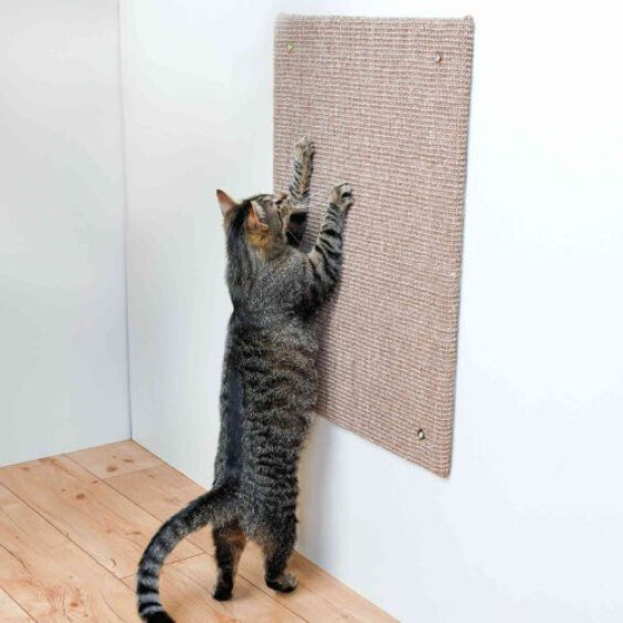 Griffoir mural pour grand chat 70 x 50 cm