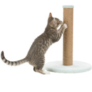 Griffoir pour chaton junior avec poteau menthe 42 cm