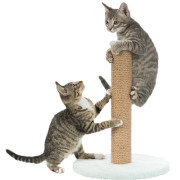 Griffoir pour chaton junior avec poteau menthe 42 cm