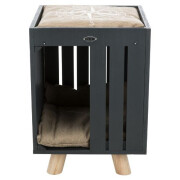 Design Alva Maison pour Chat original