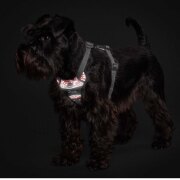 Harnais Divo Reflect ROUGE, attache anti traction